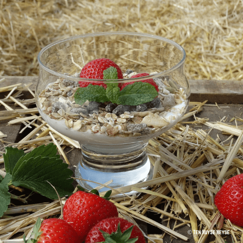 Muesli met aardbeien