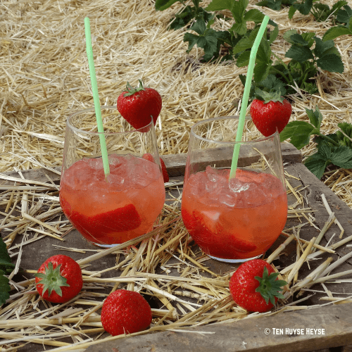 Strawberry Gin